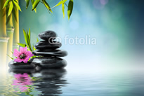 fotolia_51212700