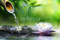 fotolia_70564979